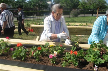 Willie M Cortez Senior Center Community Garden