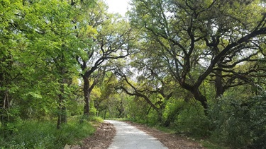 Salado North new trail between 1604 and Huebner