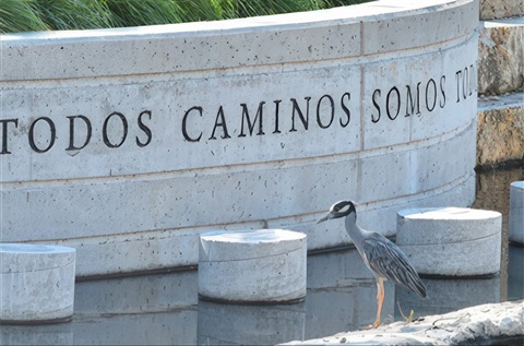 A bird perched on a stone ledge beside a flowing fountain, surrounded by a serene outdoor setting.