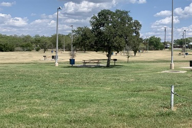 Benches in an open field with a large tree in the middle