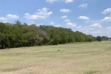 Open field