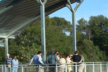 Pavilion 1