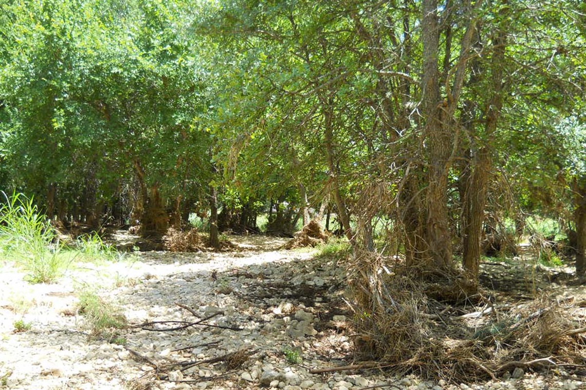 frenchcreek1.jpg