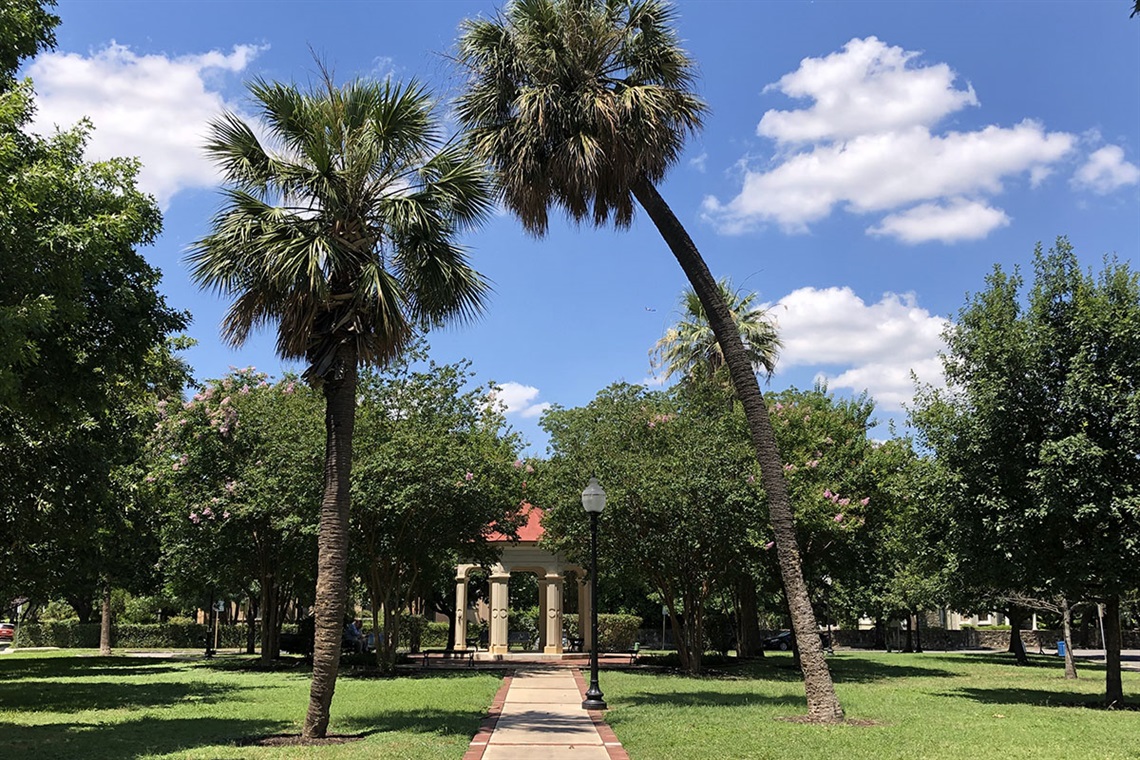 King William Park trees, walkway and pavilion