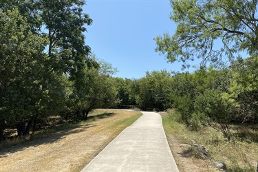 Paved walkway in between trees