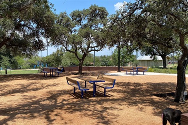 Picnic tables surrounded by trees