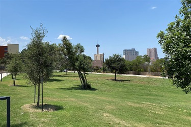 Park grounds with the Tower of the Americas in the background
