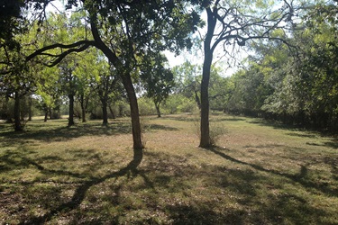 Park grounds and trees