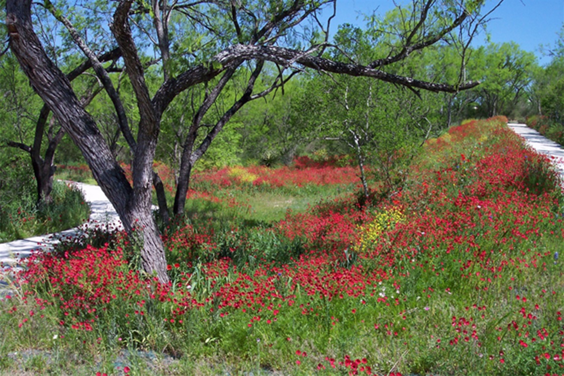 Medina River Natural Area