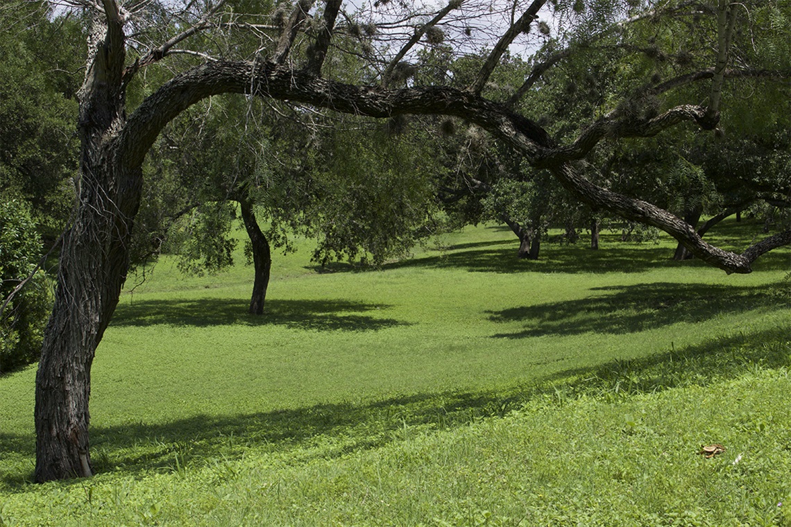 Oak Hills Park