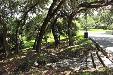 Trees on a hillside near a road, with steps leading into the park.