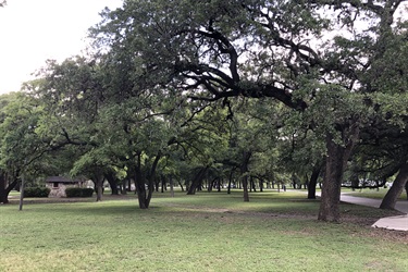 A serene park with a central building surrounded by lush greenery.