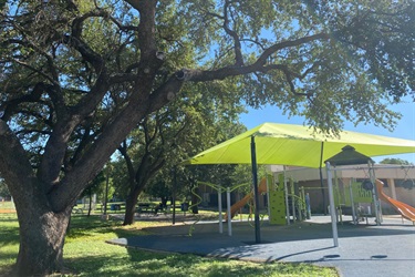 Playground under a green canopy with tree nearby.