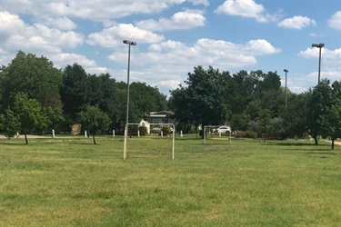 Open field with soccer goal
