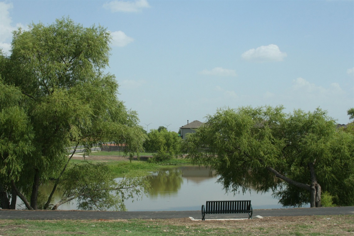 A bench with a view of a peaceful pond