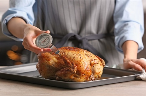 A person testing a turkey with a meat thermometer.