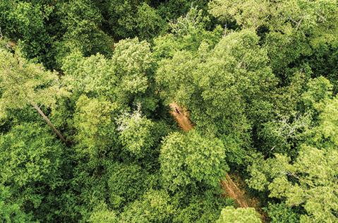 Bike Maps amp Trails City of San - Bike Maps Trails 