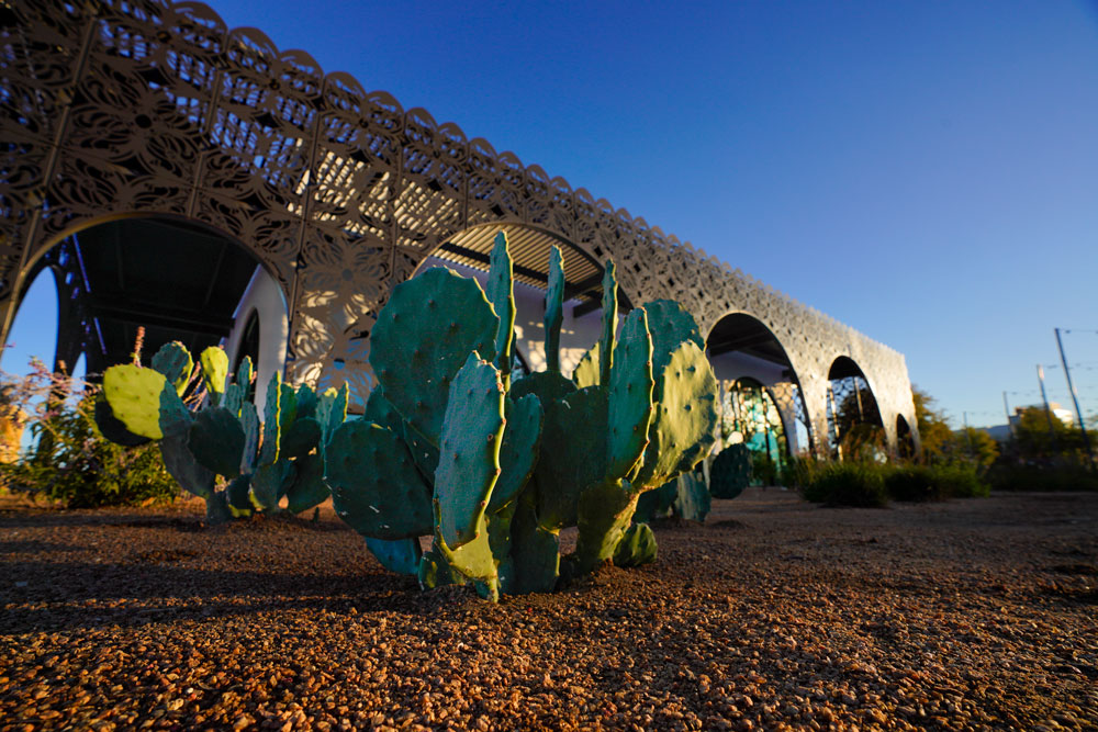 Cactus in front of the World Heritage Office