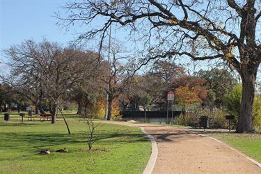 Natural trail surrounded by grass and trees