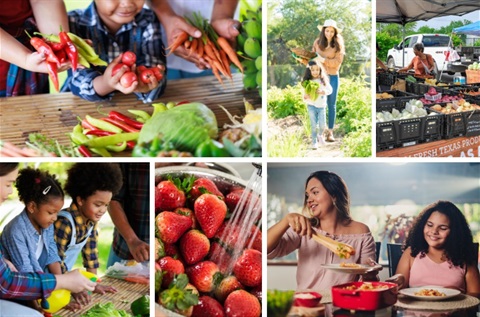 Collage of families, farmers, and fresh produce highlighting healthy food and local markets.