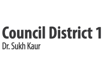City Council District 1